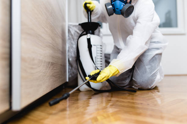 Best Wildlife Control Services  in Dunn Loring, VA