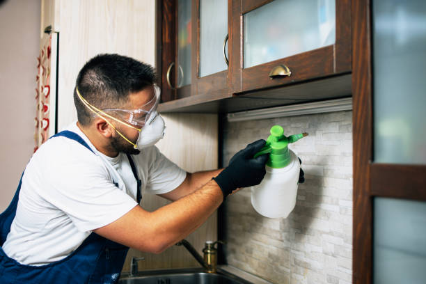 Reliable Dunn Loring, VA Pest Control Solutions