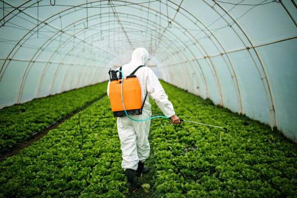 Best Best Pest Control Companies  in Dunn Loring, VA