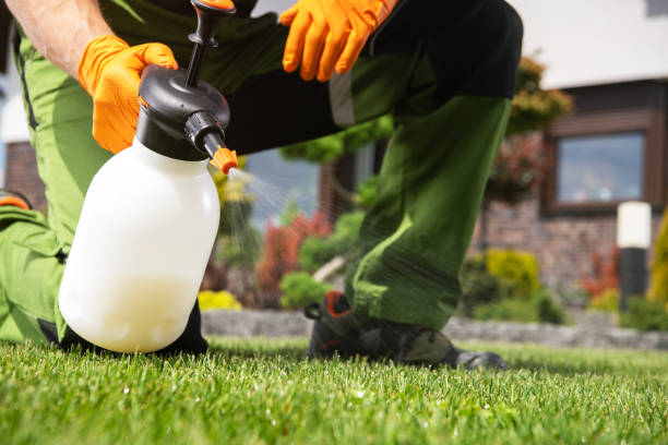 Best Rodent Control Near Me  in Dunn Loring, VA