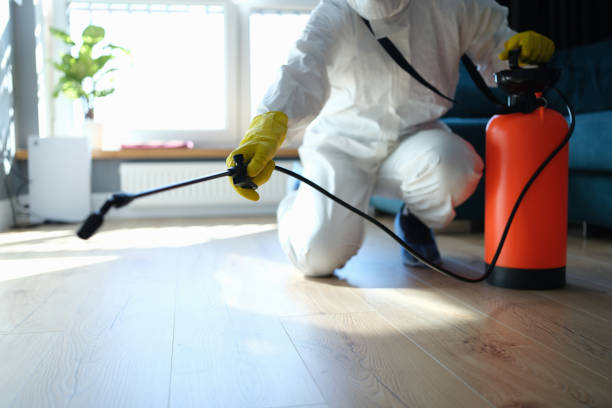Best Flea Control Services  in Dunn Loring, VA