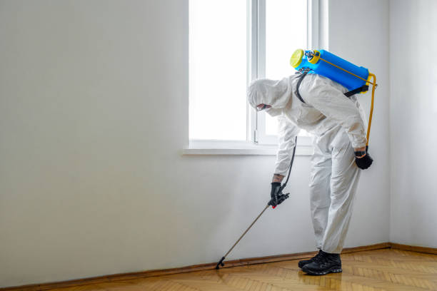 Best Bed Bug Extermination  in Dunn Loring, VA