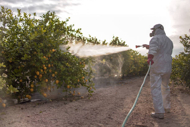 Best Local Pest Control Services  in Dunn Loring, VA