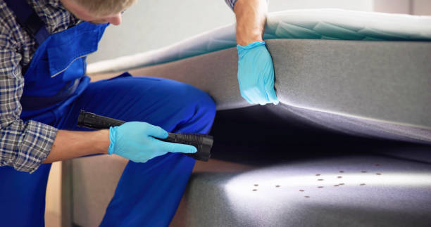 Best Local Pest Control Services  in Dunn Loring, VA