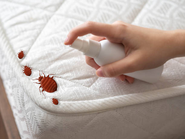 Best Commercial Pest Control Services  in Dunn Loring, VA