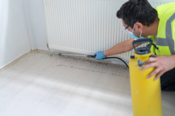 Best Cockroach Control Services  in Dunn Loring, VA